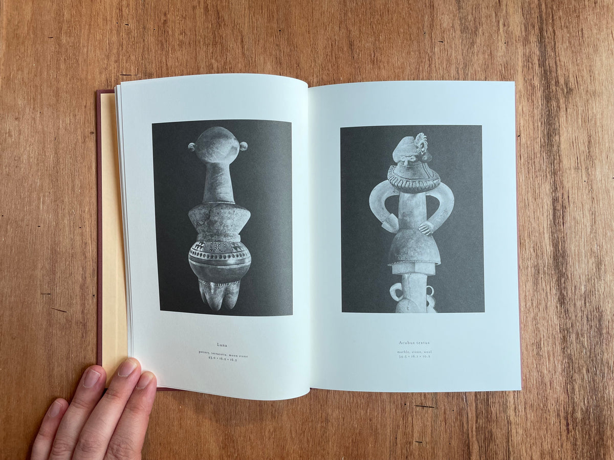 Dorothy – Takahiro Murahashi – Art Island Center アート島センター