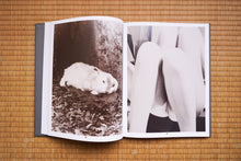 画像をギャラリービューアに読み込む, Eggs and Rarities