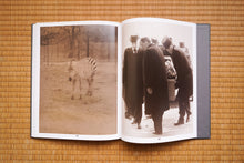 画像をギャラリービューアに読み込む, Eggs and Rarities