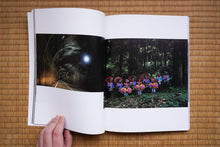 画像をギャラリービューアに読み込む, 孵化する夜の啼き声