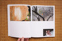 画像をギャラリービューアに読み込む, Breathing Mountains