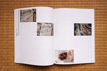 画像をギャラリービューアに読み込む, Breathing Mountains