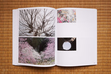 画像をギャラリービューアに読み込む, Breathing Mountains