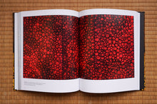画像をギャラリービューアに読み込む, Yayoi Kusama: Infinity Mirrors
