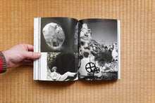 Load image into Gallery viewer, Niki De Saint Phalle: Structures for Life