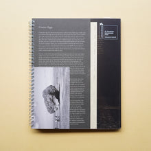 画像をギャラリービューアに読み込む, Cosmo-Eggs