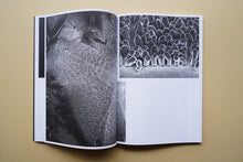 画像をギャラリービューアに読み込む, Universe / Facts in the post-truth era