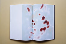 画像をギャラリービューアに読み込む, Universe / Facts in the post-truth era