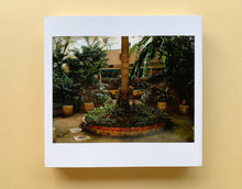 画像をギャラリービューアに読み込む, Okinawan Portraits 2012-2016