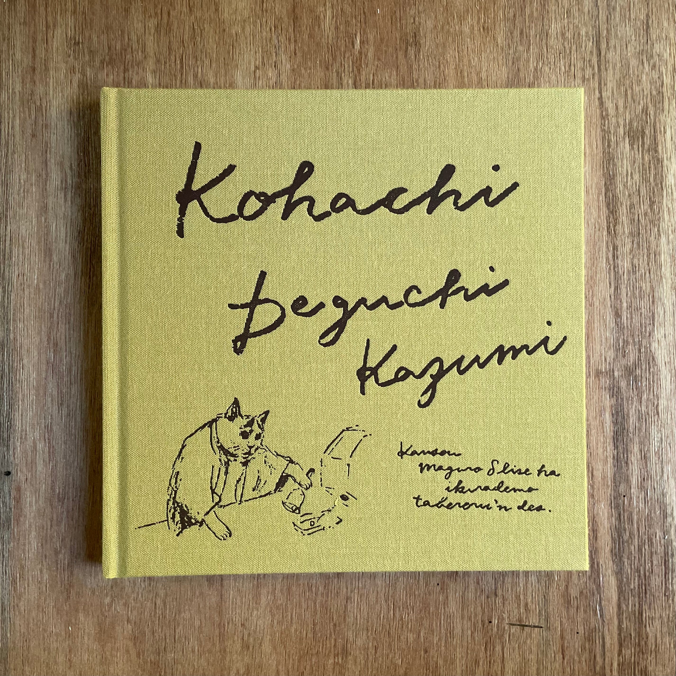 カガミ画集　2冊入り合計335ページ картина Kartina KAGAMI×BISHOP ART WORKS First Limited Book