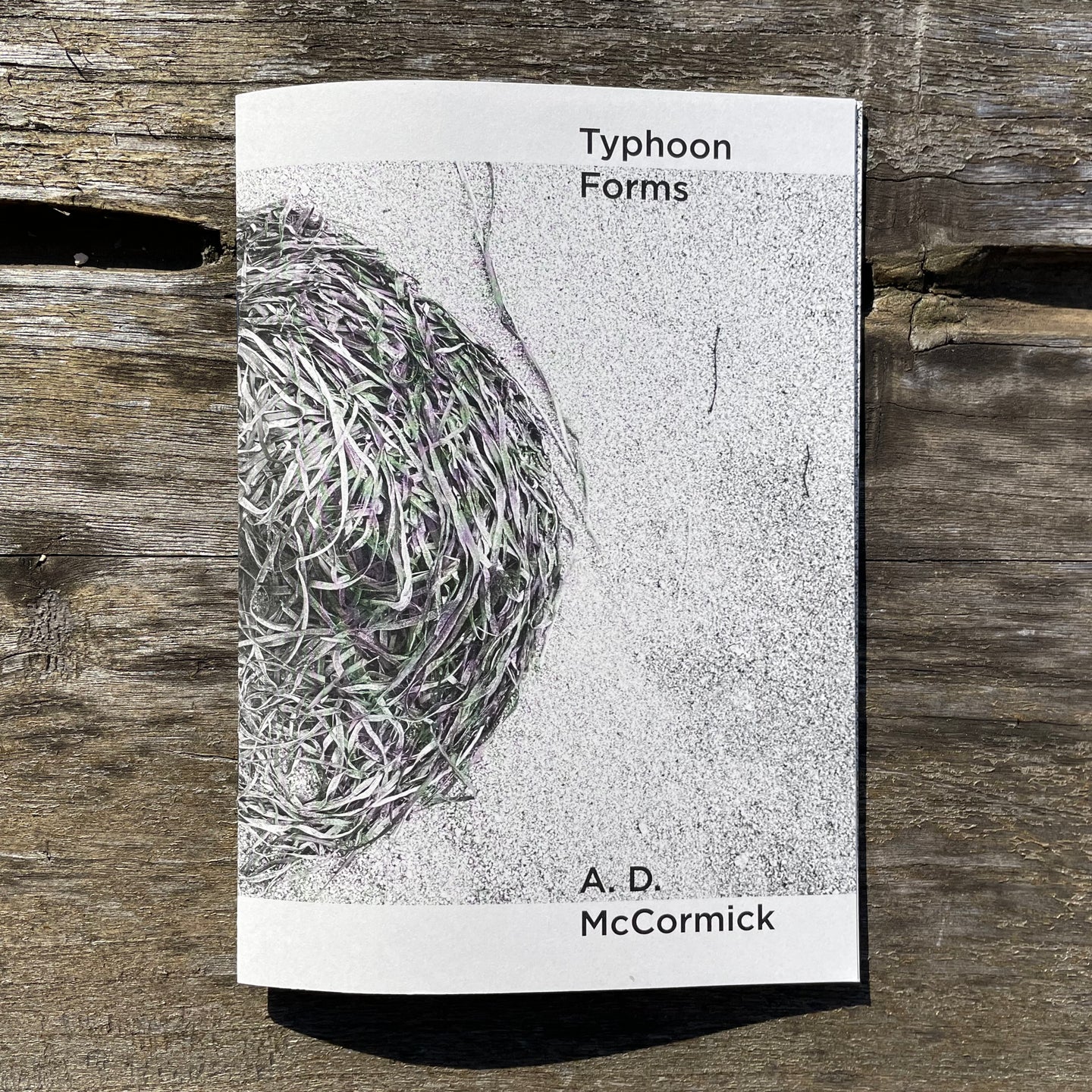 Zine: Typhoon Forms (2nd Edition)